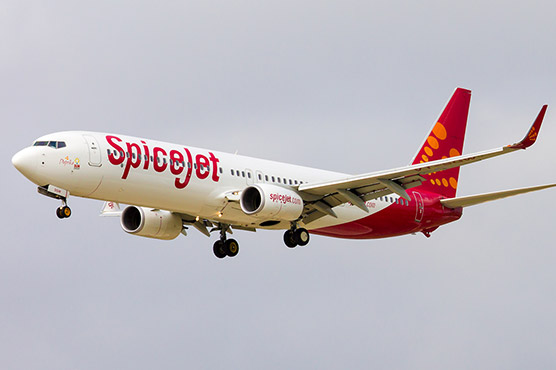 India: SpiceJet crew suspended over mid-air Holi celebration